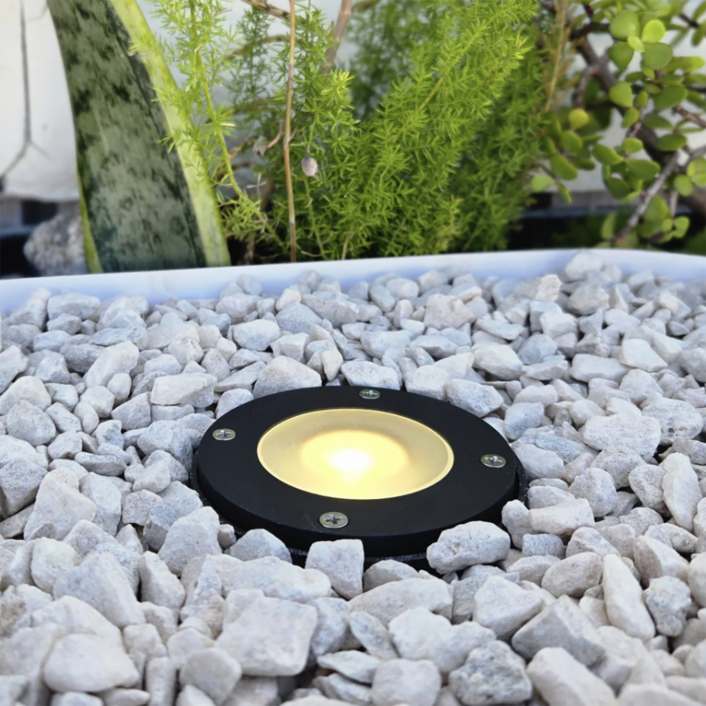 Black In-Ground Well Light Solid Brass 20