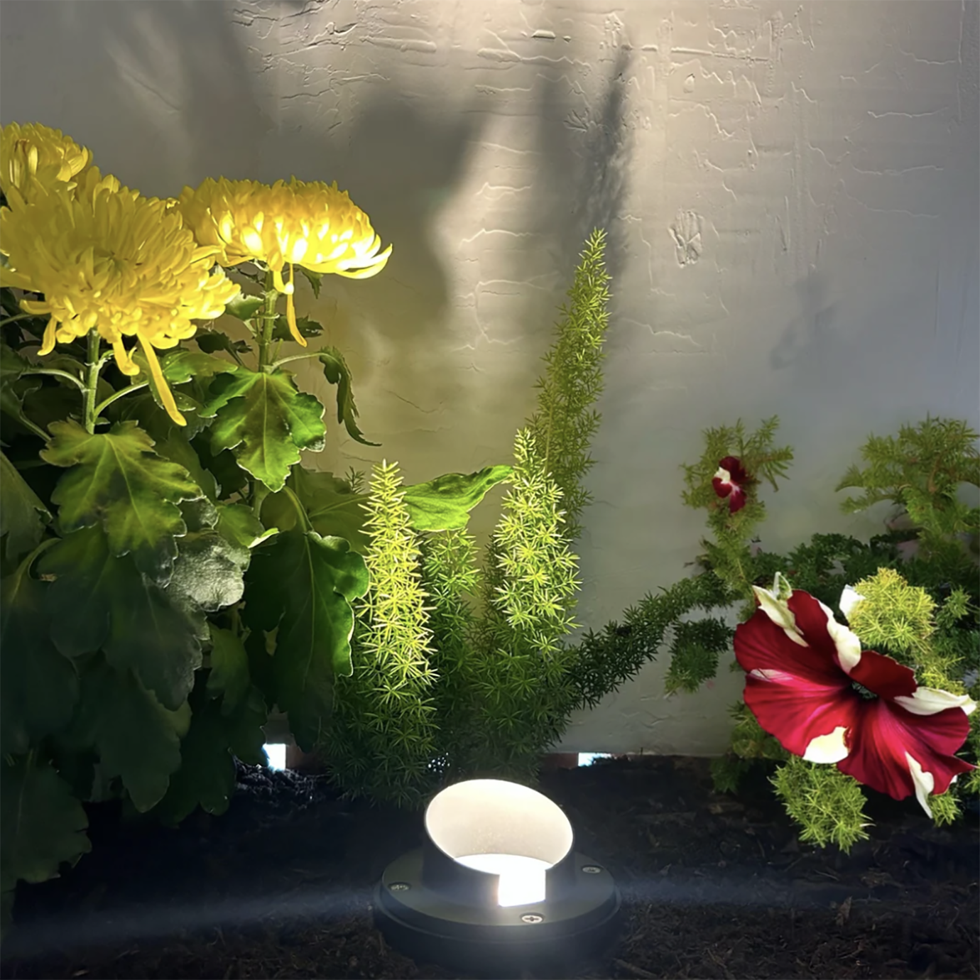 Black In-ground Well Light Cast Brass 30N